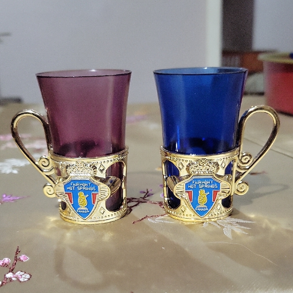Vintage Souvenier Shot Glasses~Fairmount Hot Springs